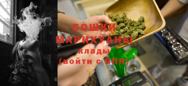 гидра Медногорск