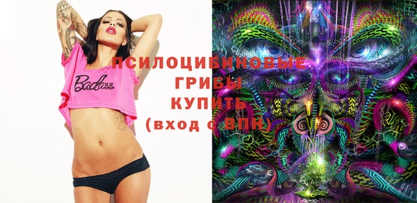 ECSTASY Медвежьегорск