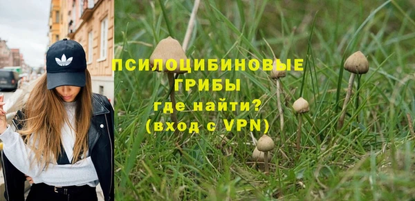 гидра Мегион
