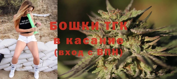 гидра Медногорск