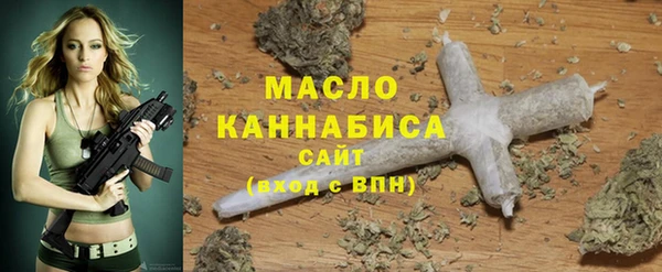 гидра Медногорск