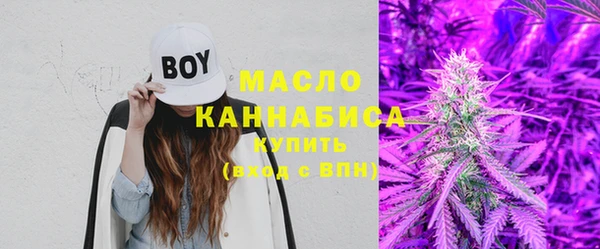 гидра Мегион