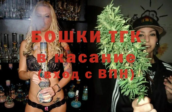 гидра Медногорск
