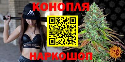 гашик Абакан
