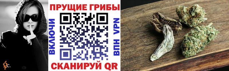 Галлюциногенные грибы мухоморы  дарк нет официальный сайт  Алушта 