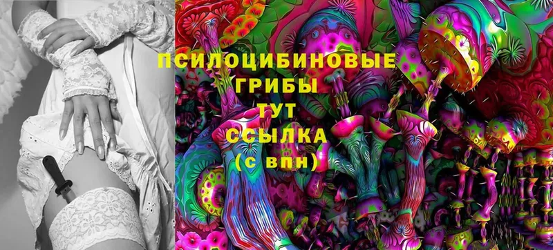 OMG онион  Алушта  Галлюциногенные грибы Magic Shrooms 