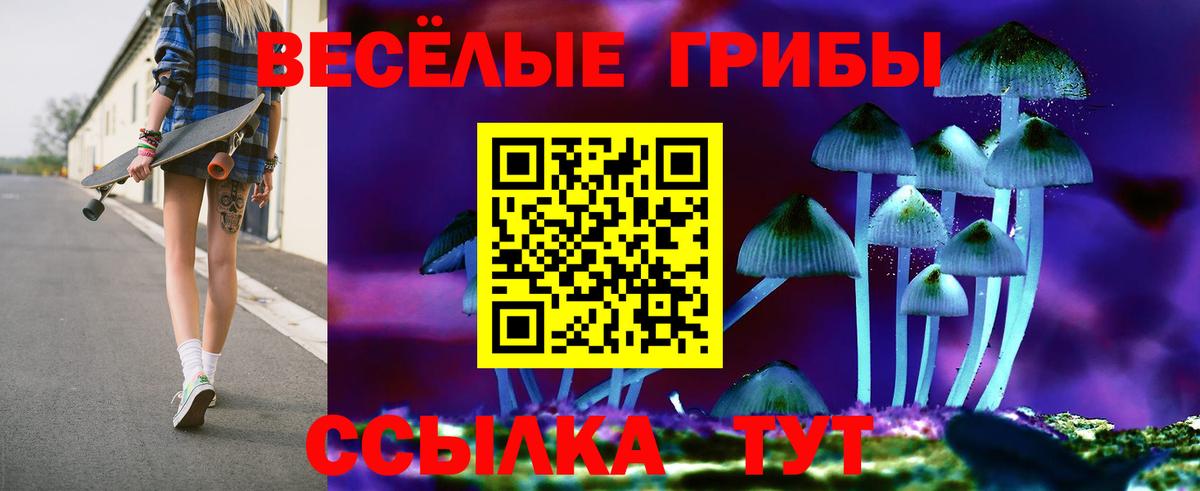Галлюциногенные грибы GOLDEN TEACHER  Алушта 